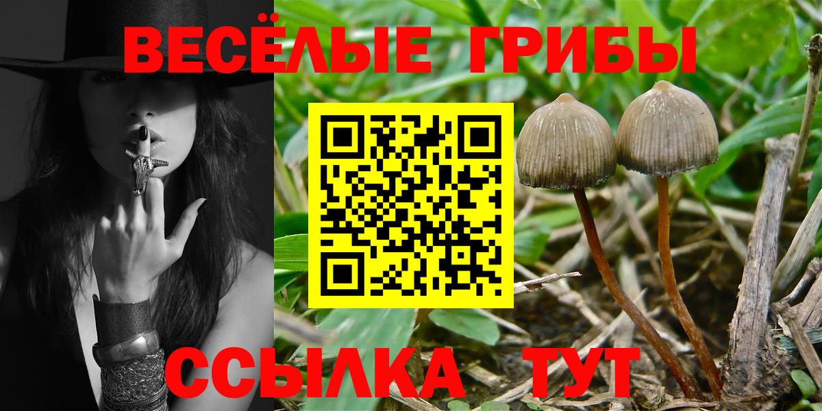 Галлюциногенные грибы GOLDEN TEACHER Узловая