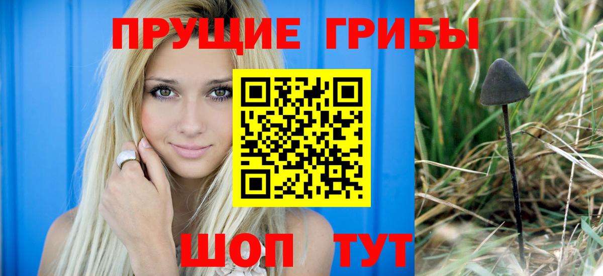 Галлюциногенные грибы Psilocybine cubensis  Вход с VPN  продажа наркотиков  Узловая 